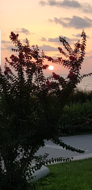 Ausblick Özlem Garden Hotel