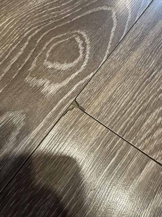 Zimmer Side Star Elegance