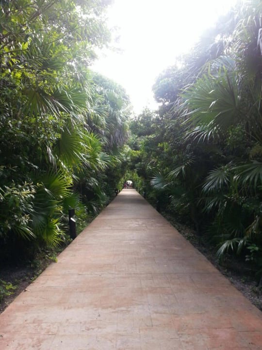 Hotel Catalonia Playa Maroma Catalonia Playa Maroma