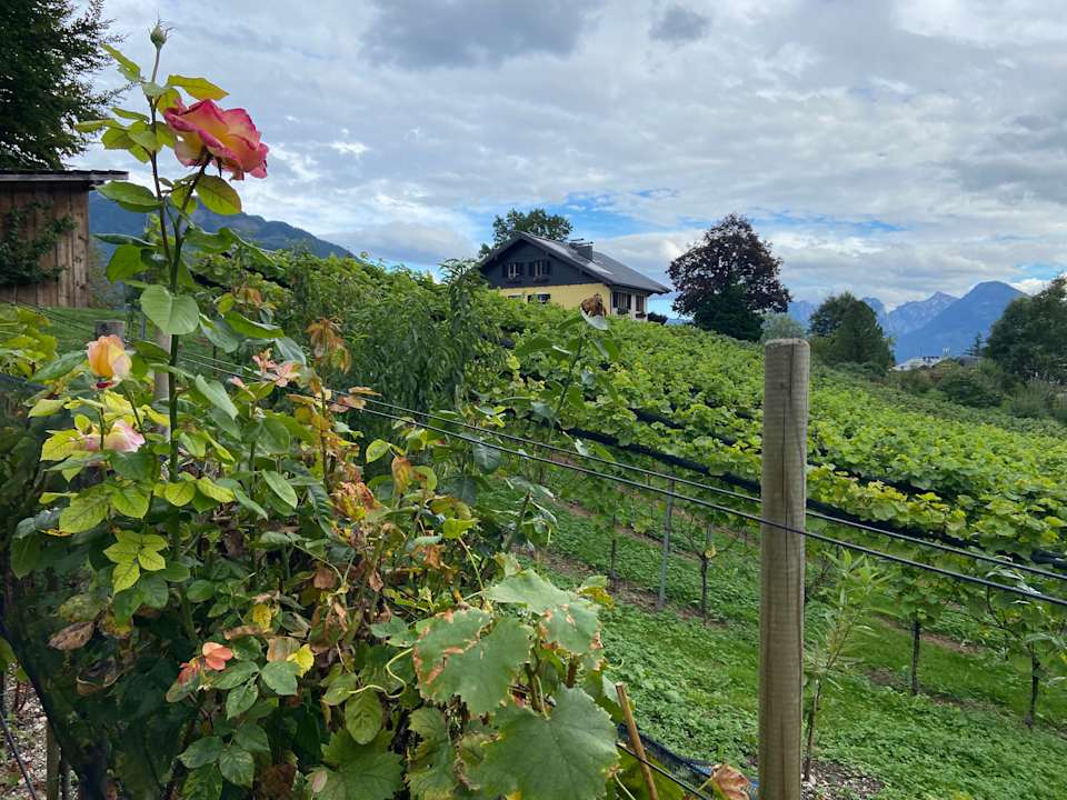 Ausblick Hotel Hollweger