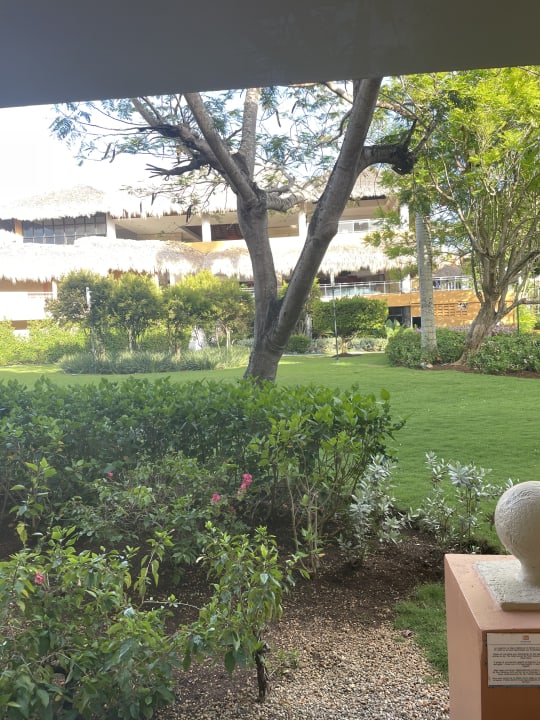 Gartenanlage Hotel Viva Dominicus Palace by Wyndham-All Inclusive Resort