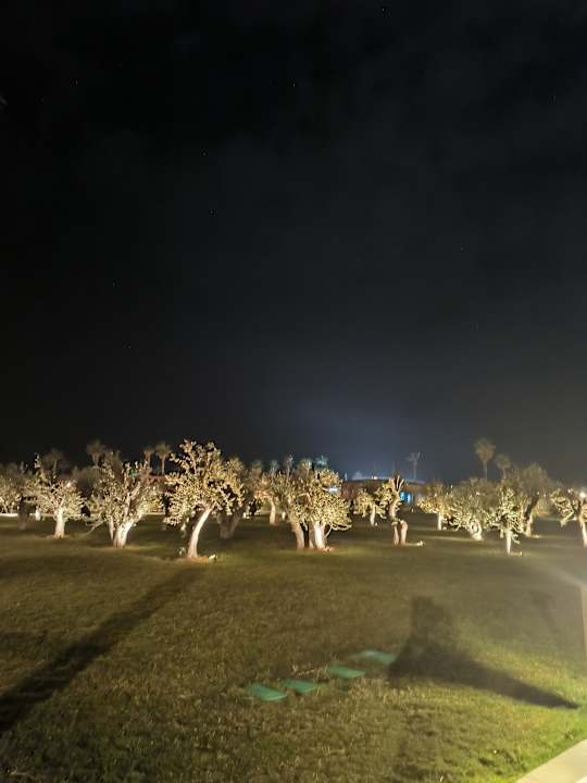 Gartenanlage Lusso Sorgun