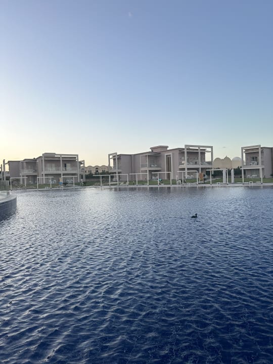 Gartenanlage Pickalbatros Sea World Resort - Marsa Alam