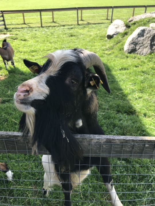 Sonstiges Kinderhotel Felben