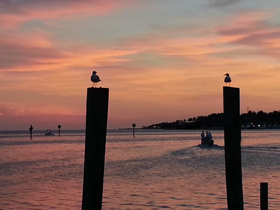 Vista dal molo Postcard Inn Beach Resort & Marina @ Holiday Isle