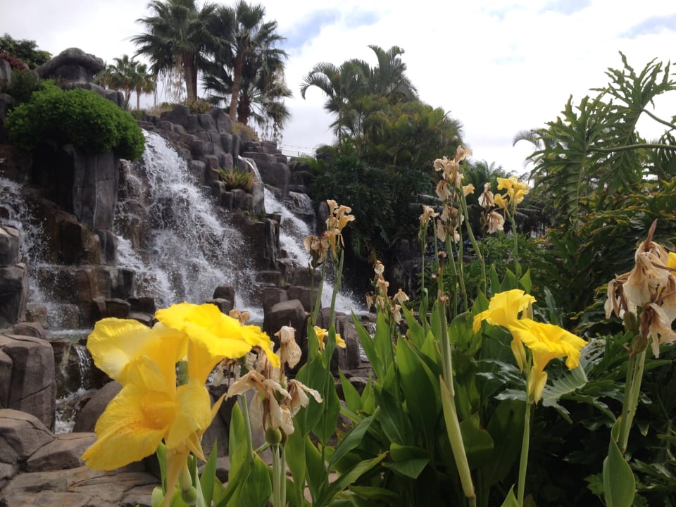 Gartenanlage Landmar Playa La Arena