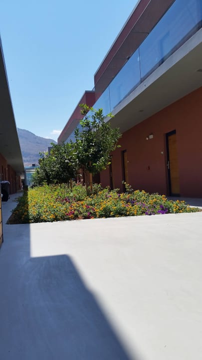 Weg zum Zimmer Harmony Boutique Resort