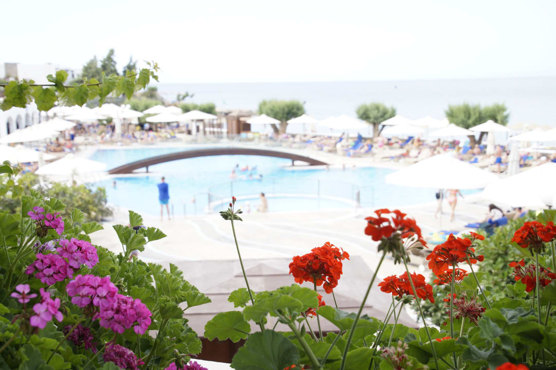 Pool Creta Maris Resort