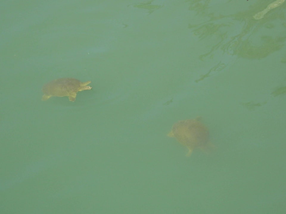 Sehenswürdigkeit am Strand Grand Seker Hotel