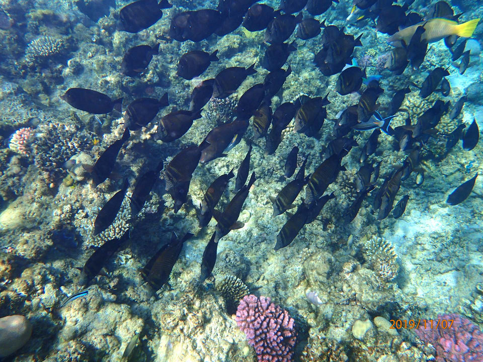 Sport & Freizeit Premier Le Reve Hotel & Spa