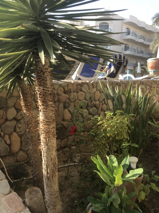 Gartenanlage Bella Vista Resort Hurghada