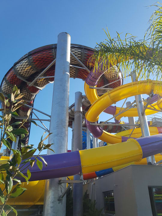 Sport & Freizeit Royal Seginus