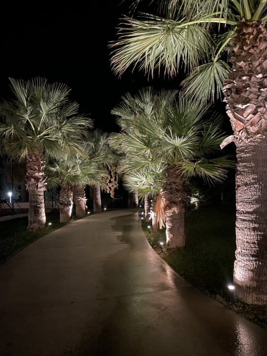 Gartenanlage Rodos Princess Beach Hotel & Spa