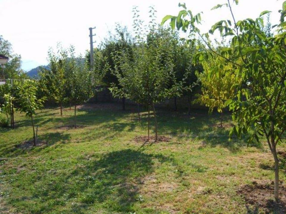 Garden Hotel Rasitler Bag Evi