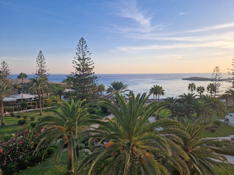 Gartenanlage Hotel Nissi Beach Resort