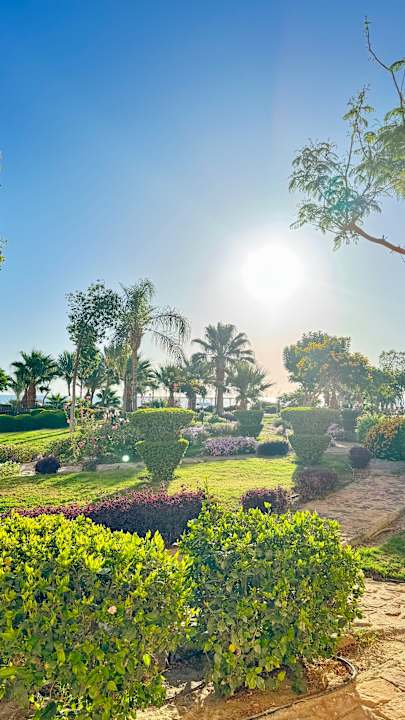 Gartenanlage Three Corners Equinox Beach Resort