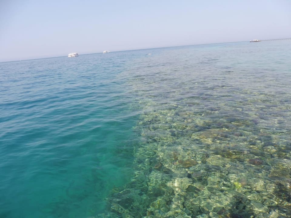 Super Hausriff  Cleopatra Luxury Resort Makadi Bay