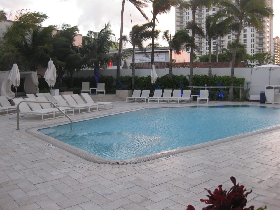 Pool Sonesta Fort Lauderdale
