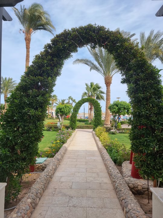 Gartenanlage Amarina Abu Soma Resort & Aquapark