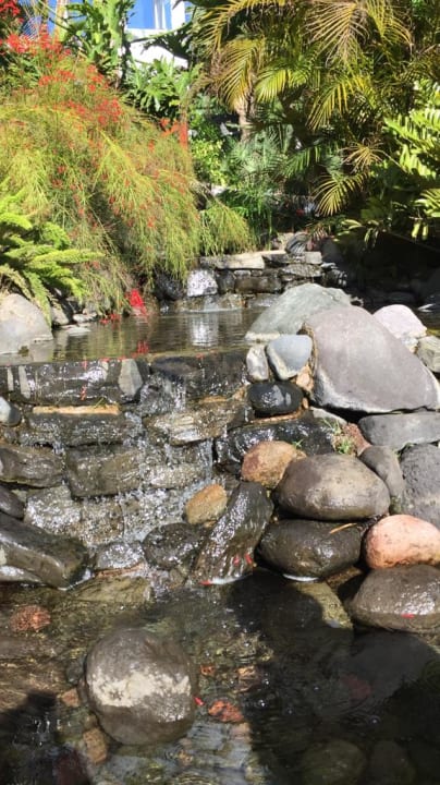 Gartenanlage allsun Hotel Lucana