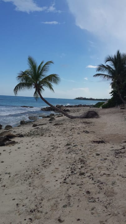 Strand Akumal Bay Beach & Wellness Resort