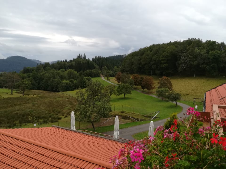 Ausblick Hotel zum Breitenberg