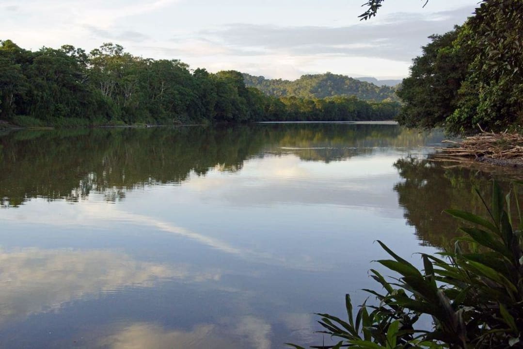 Blick von der Bar aus Liana Lodge