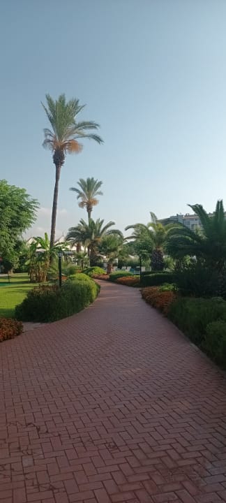 Pool Sunis Elita Beach Resort & Spa