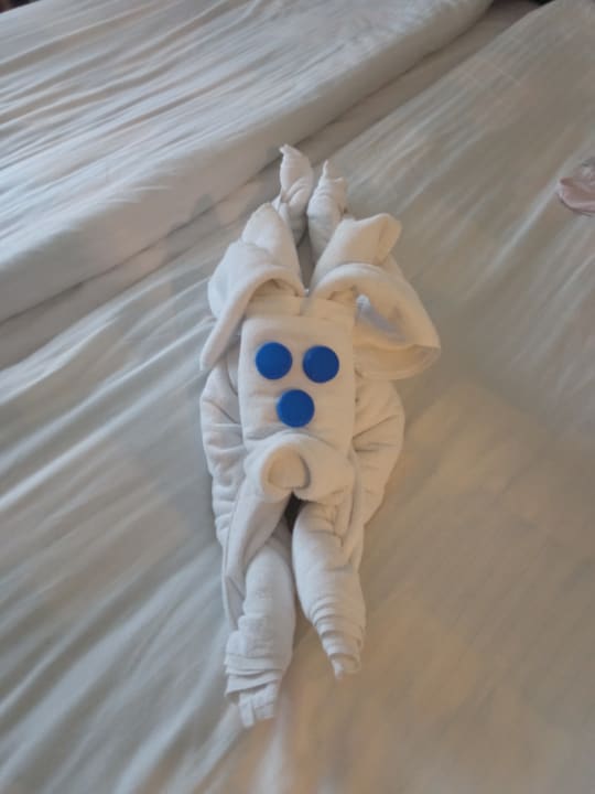 Zimmer Side Star Beach