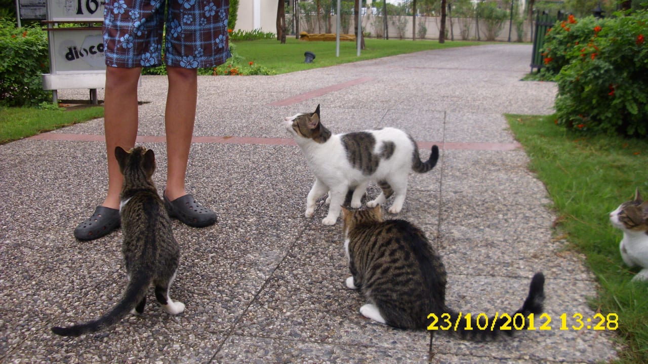 Gäste Voyage Belek Golf & Spa