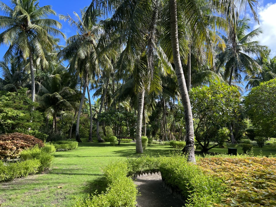 Gartenanlage Adaaran Select Meedhupparu Island Resort - Premium All Inclusive