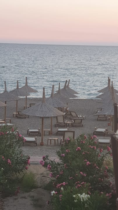 Ausblick Adora Calma Beach Hotel