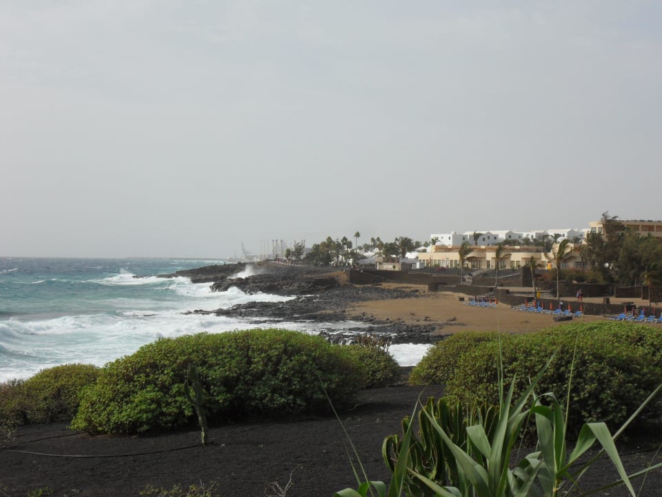 Bucht allsun App.-Hotel Albatros