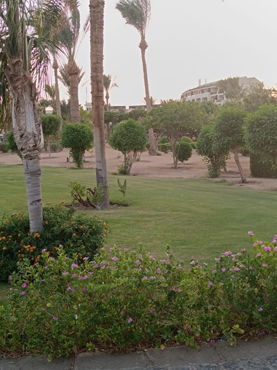 Gartenanlage Steigenberger ALDAU Beach Hotel