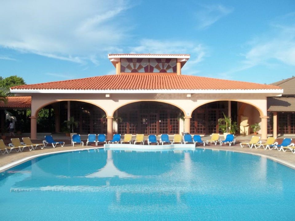 Schöner Anblick Starfish Cuatro Palmas