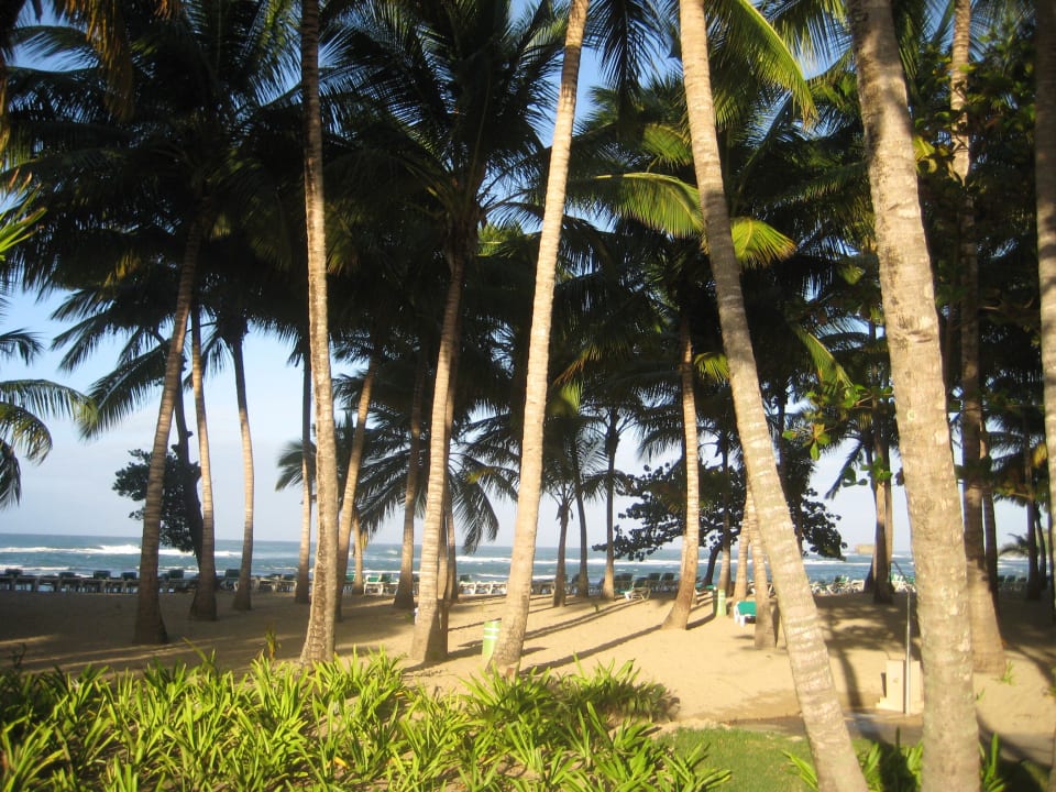 Blick auf den Strand Senator Puerto Plata Hotel