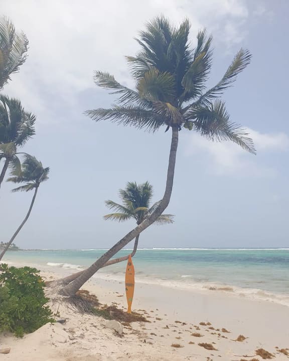 Strand Akumal Bay Beach & Wellness Resort
