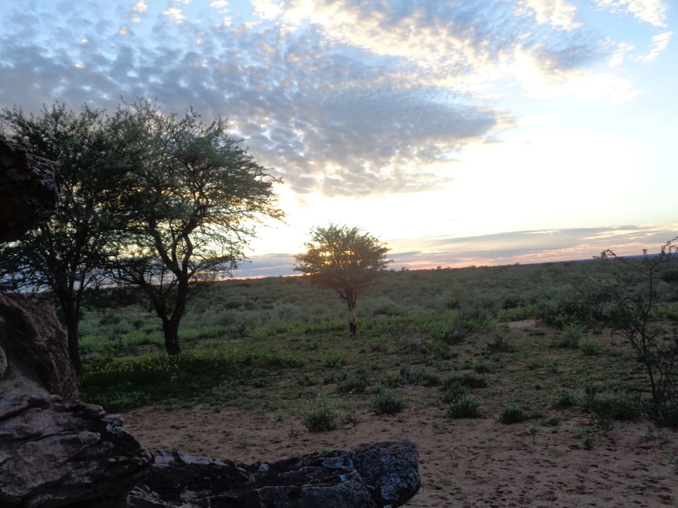 Ausblick Kalahari Bush Breaks Lodge