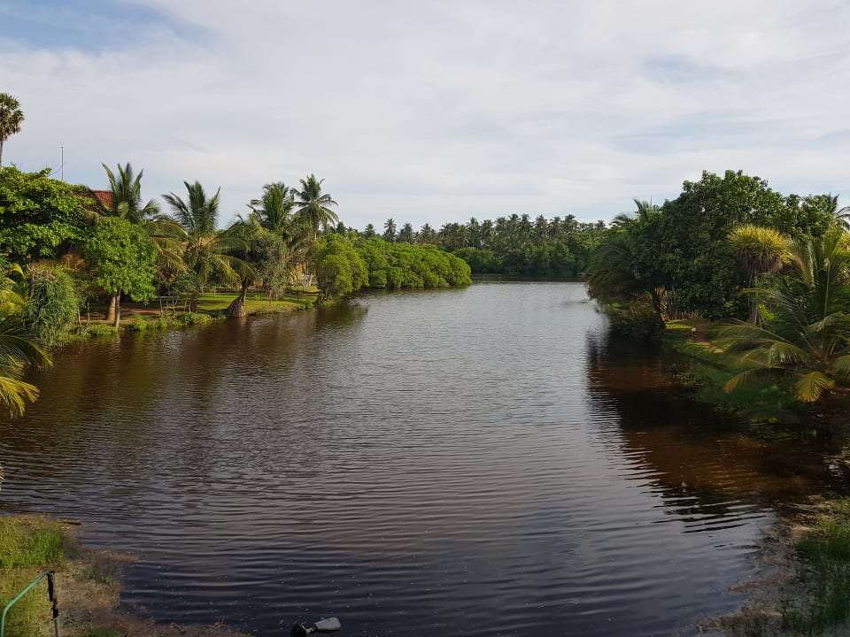 Ausblick Club Palm Bay