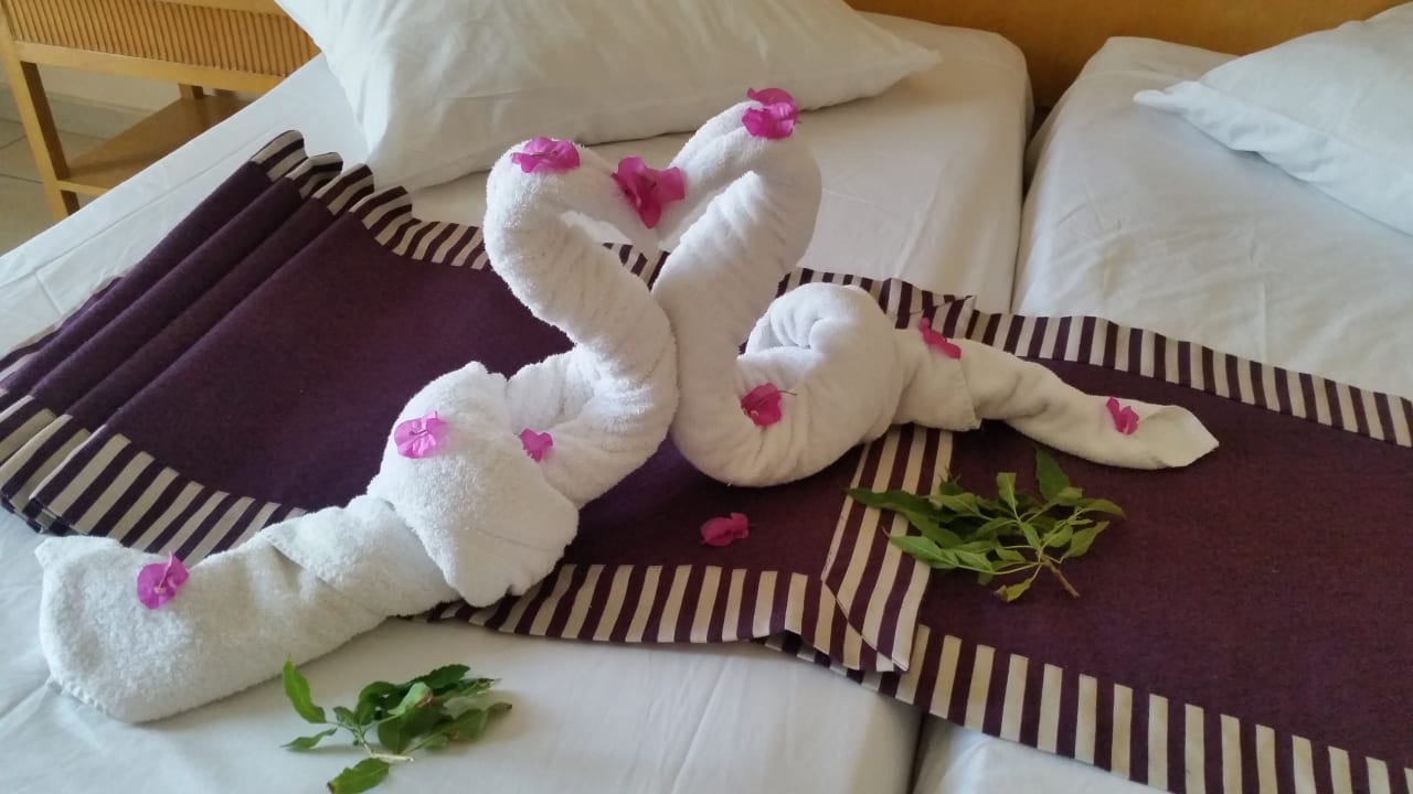 Zimmer Hotel JAZ Makadi Star & Spa