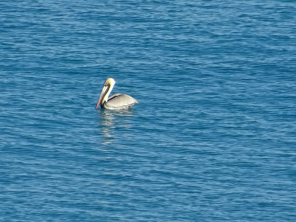 Strand Sirenis Tropical Varadero