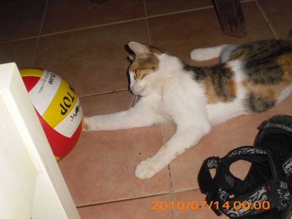 Flecki  Can Garden Beach