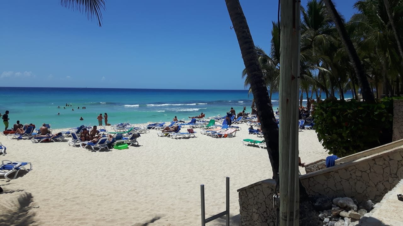 Toller strand Hotel Viva Dominicus Beach by Wyndham - All Inclusive Resort