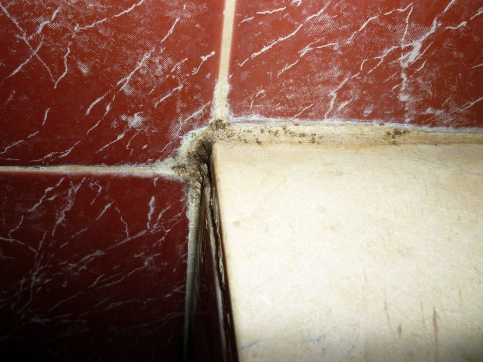 Schimmel im Bad  Hotel ValleMar