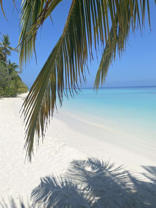 Strand Safari Island Maldives