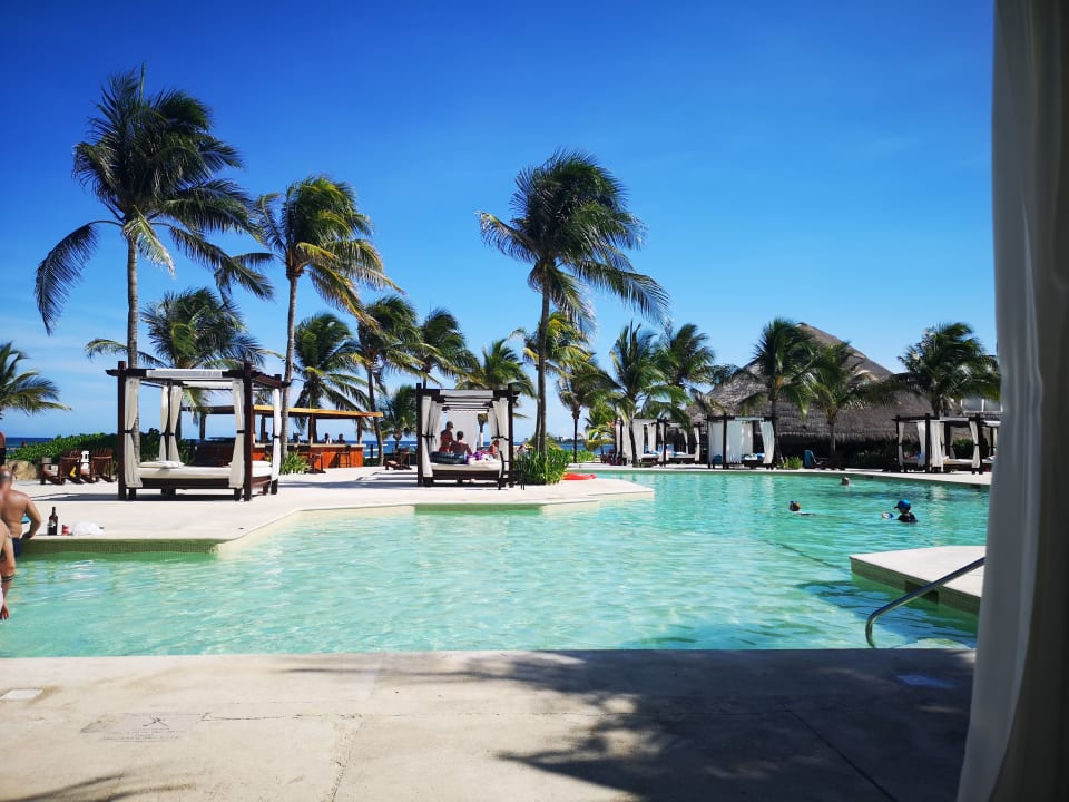 Pool Akumal Bay Beach & Wellness Resort