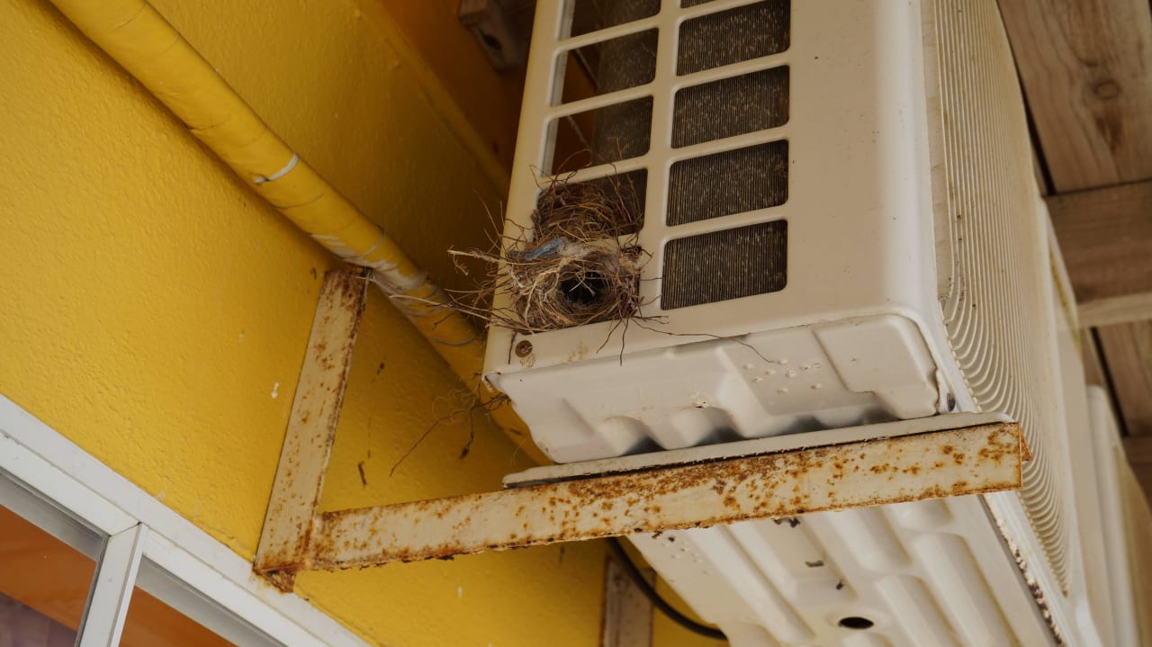 Klimanlage mit Vogelnest Watapana Appartements