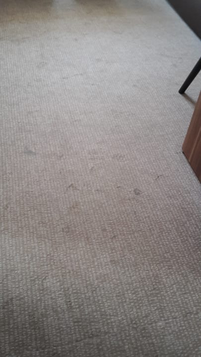 Zimmer Hotel Enziana Wien