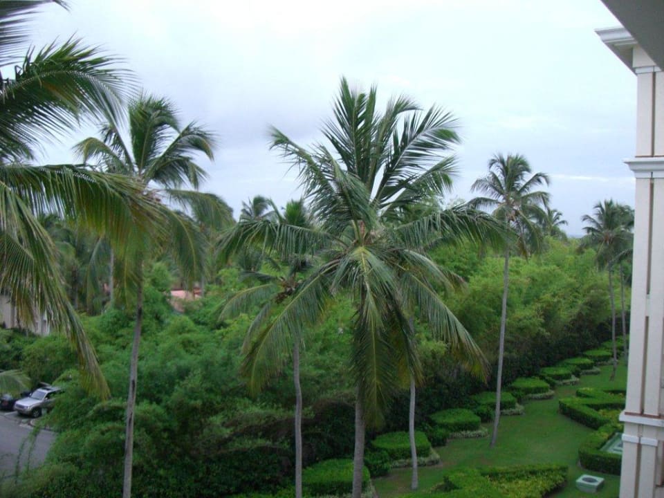 Blick vom Balkon Hotel Riu Palace Punta Cana