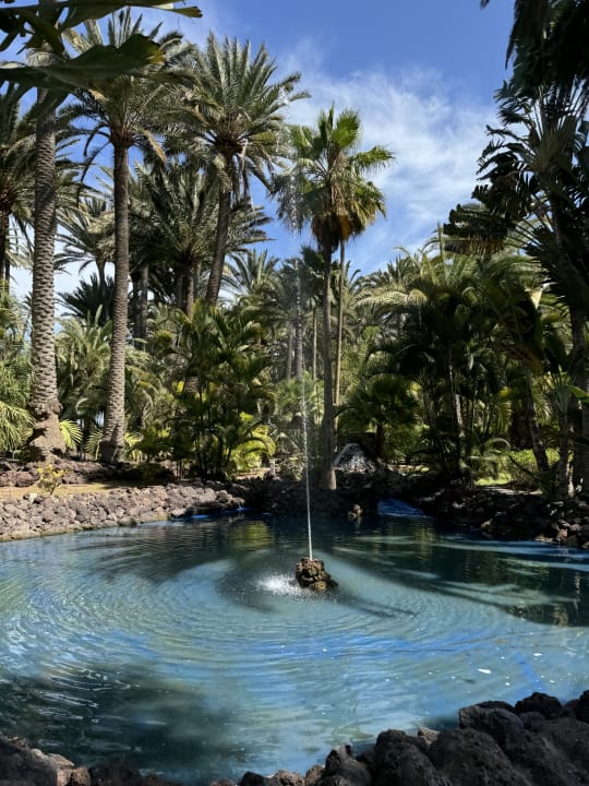 Gartenanlage Hotel Riu Palace Oasis